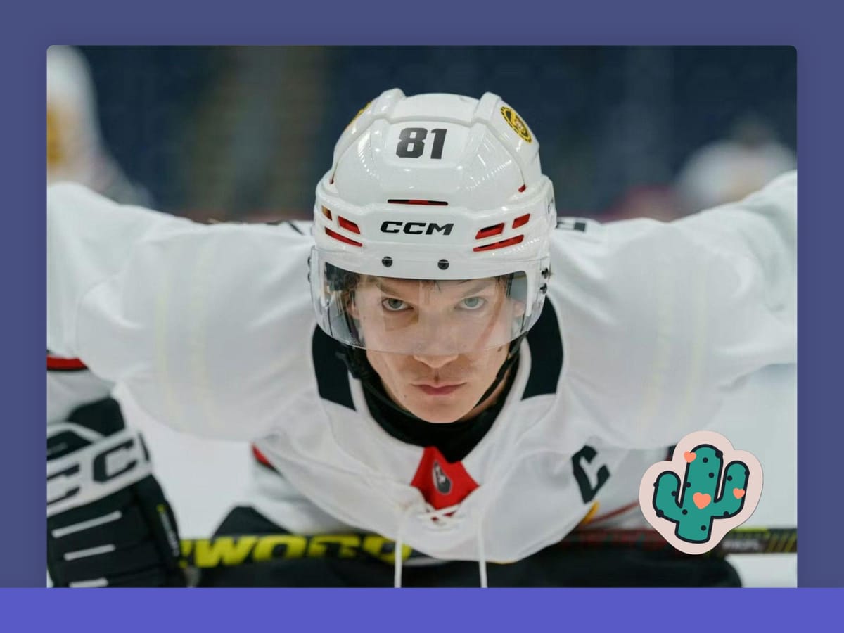 Heated Rivalry (seit 2025)